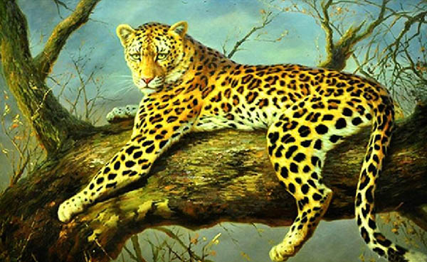 Animal Oil Painting,60cm x 90cm(23〃 x 35〃),wyh6485006-z