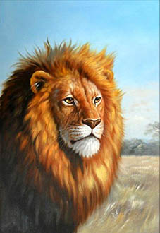 Animal Oil Painting,40cm x 60cm,wyh6485019-x