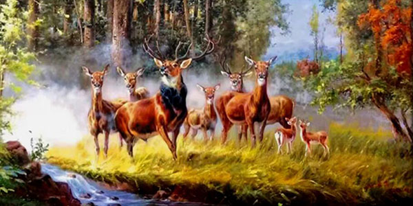 Animal Oil Painting,60cm x 100cm(24〃 x 39〃),wyh6485010-z