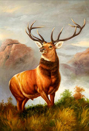 Animal Oil Painting,60cm x 90cm(23〃 x 35〃),wyh6485023-z