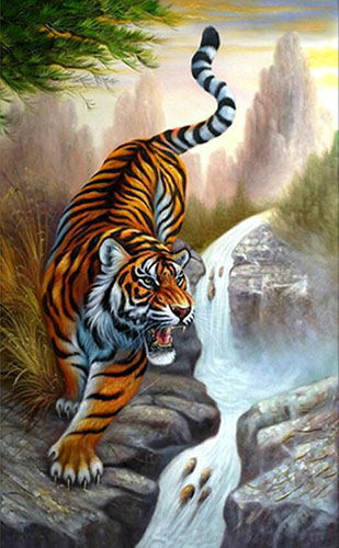 Animal Oil Painting,60cm x 90cm(23〃 x 35〃),wyh6485024-z