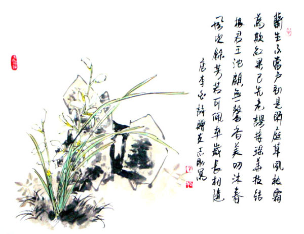 Orchid,50cm x 65cm(19〃 x 26〃),2360032-z