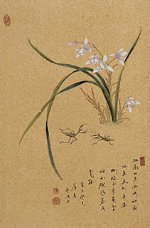Chinese Orchid Painting,43cm x 65cm,2384006-x