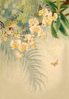 Chinese Orchid Painting,30cm x 40cm,2389021-x