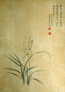 Shu Qin