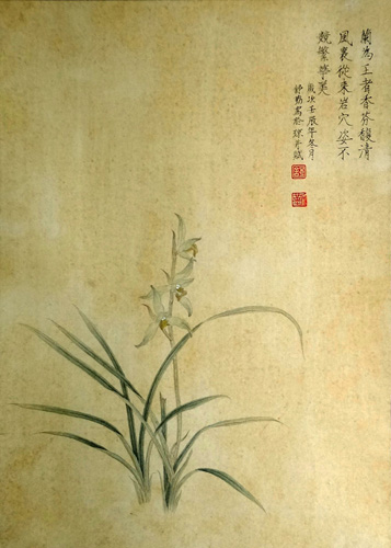 Orchid,30cm x 40cm(12〃 x 16〃),2405003-z