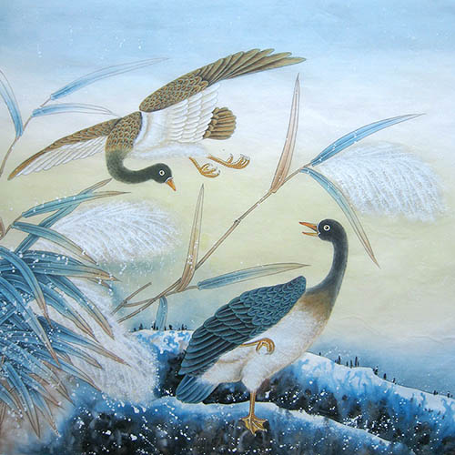 Other Birds,66cm x 66cm(26〃 x 26〃),2011056-z