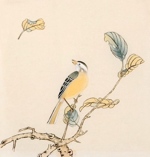 Other Birds,33cm x 33cm(13〃 x 13〃),2340086-z