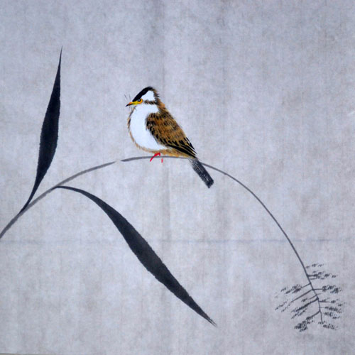 Other Birds,33cm x 33cm(13〃 x 13〃),2408017-z