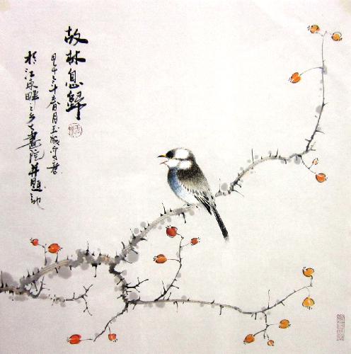 Other Birds,50cm x 50cm(19〃 x 19〃),dyc21099026-z