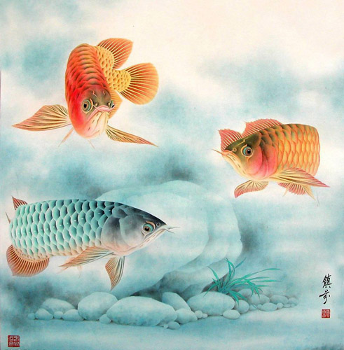 Other Fishes,66cm x 66cm(26〃 x 26〃),2615004-z