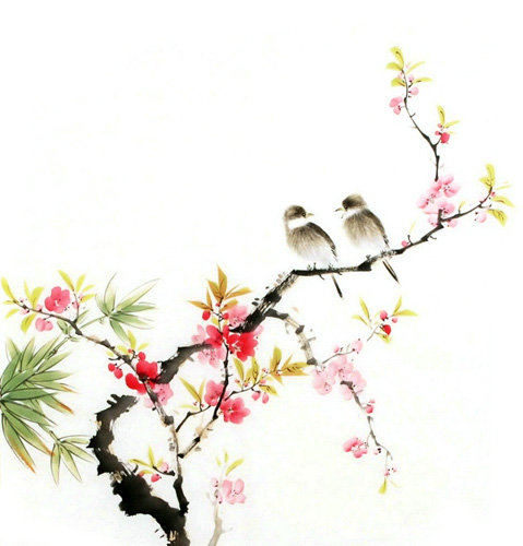 Peach Blossom,50cm x 50cm(19〃 x 19〃),2340058-z