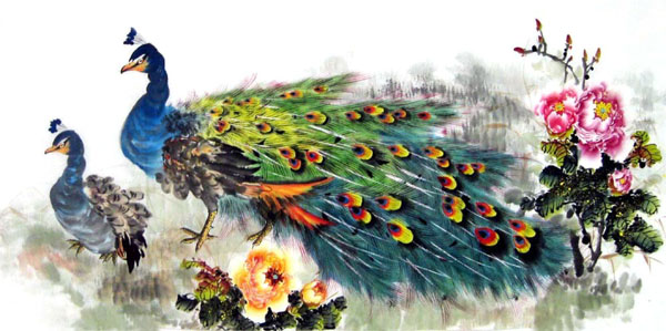 Peacock Peahen,69cm x 138cm(27〃 x 54〃),2370005-z