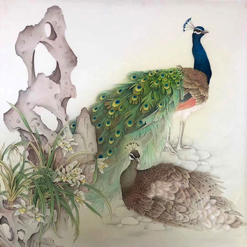 Peacock Peahen,68cm x 68cm(27〃 x 27〃),2387106-z