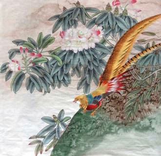 Chinese Pheasant Painting,66cm x 66cm,2336111-x