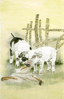 Chinese Pig Painting,43cm x 65cm,4617005-x