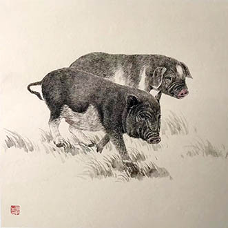 Chinese Pig Painting,50cm x 50cm,lbz41082025-x