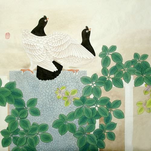 Pigeon,66cm x 66cm(26〃 x 26〃),2409005-z