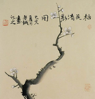 Chinese Plum Blossom Painting,34cm x 34cm,tl21140017-x
