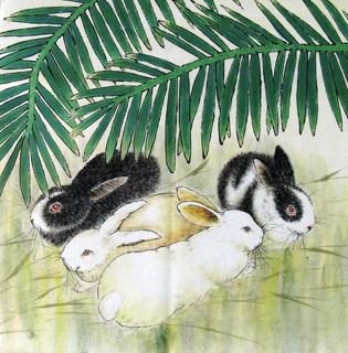 Chinese Rabbit Painting,50cm x 50cm,4449018-x