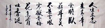 Chinese Self-help & Motivational Calligraphy,48cm x 176cm,51066009-x