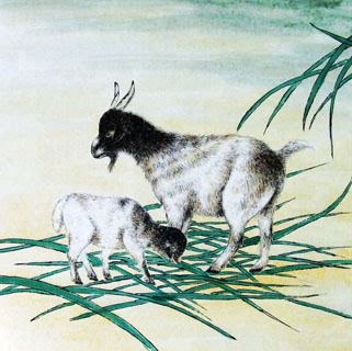 Chinese Sheep Painting,50cm x 50cm,4449011-x