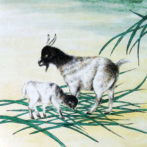 Sheep,50cm x 50cm(19〃 x 19〃),4449011-z