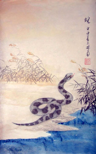 Snake,43cm x 65cm(17〃 x 26〃),4349001-z