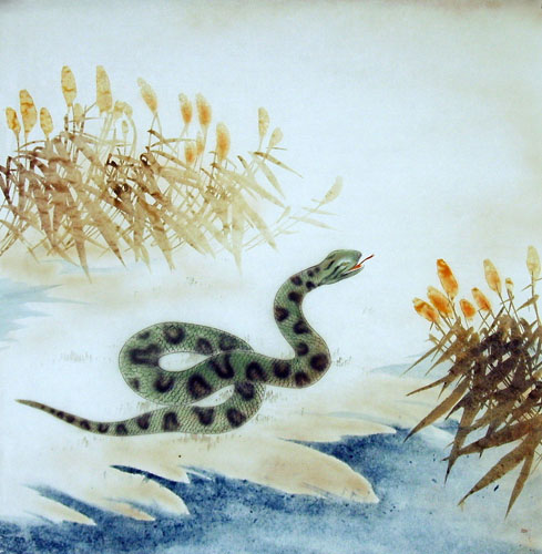 Snake,66cm x 66cm(26〃 x 26〃),4349007-z