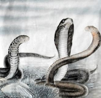 Chinese Snake Painting,66cm x 66cm,4449033-x