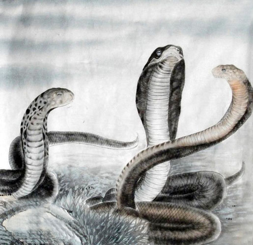 Snake,66cm x 66cm(26〃 x 26〃),4449033-z