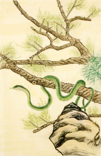 Snake,69cm x 46cm(27〃 x 18〃),4617004-z