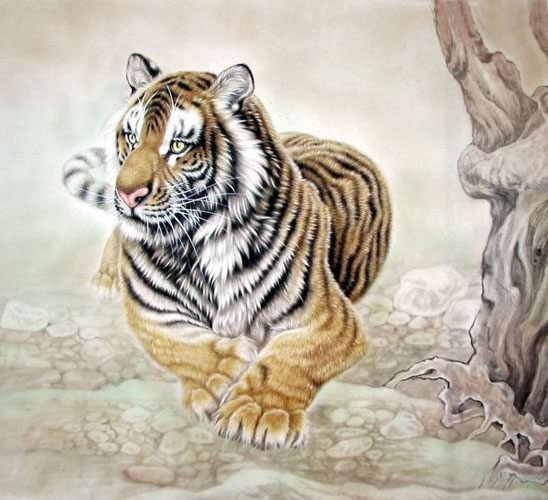Tiger,69cm x 69cm(27〃 x 27〃),4521002-z