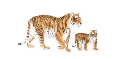 Chinese Tiger Painting,66cm x 130cm,4697002-x