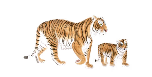 Tiger,66cm x 130cm(26〃 x 51〃),4697002-z