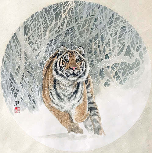 Tiger,50cm x 50cm(19〃 x 19〃),lbz41082020-z