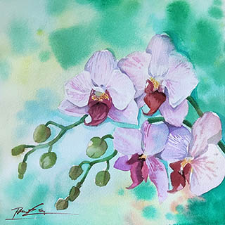 Flowers & Bird Watercolor Painting,38cm x 38cm,pz72109002-x
