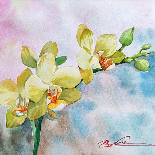 Flowers & Bird Watercolor Painting,38cm x 38cm(15〃 x 15〃),pz72109009-z